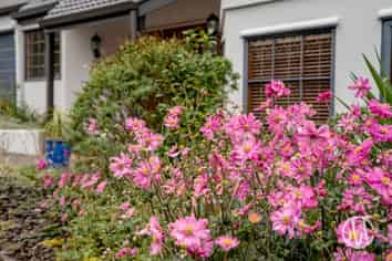 17 Dawn View Place, Te Puna