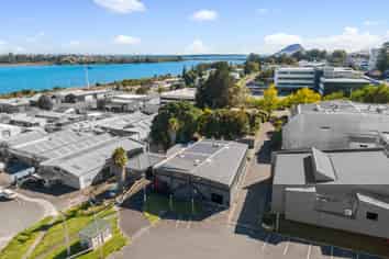 Industrial Chic CBD Fringe