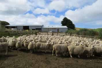 15 Bell Road, Wyndham Surrounds