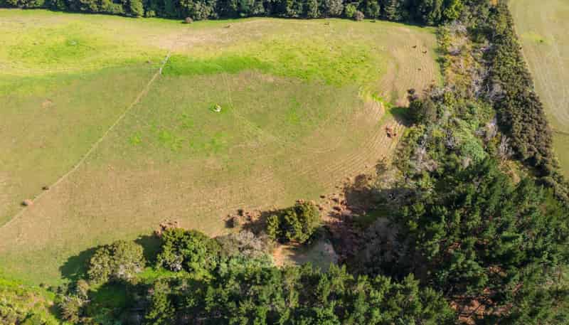 Lot 5/50 Bush Road, Pukekohe