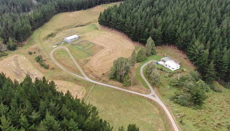 223 Morgan Road, Milton