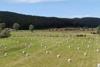 223 Morgan Road, Milton