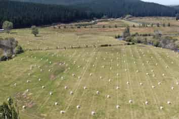 223 Morgan Road, Milton