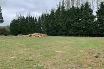 Lot 5 584 Orari Station Road, Geraldine