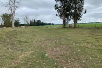 Lot 5 584 Orari Station Road, Geraldine