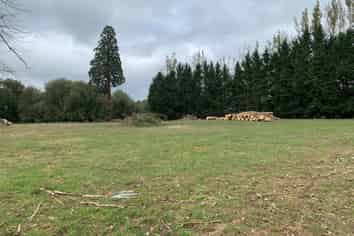 Lot 5 584 Orari Station Road, Geraldine