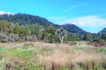  State Highway 6, Lower Buller Gorge, Westport