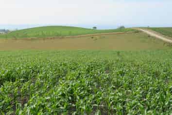 43 Murray Road, Oamaru
