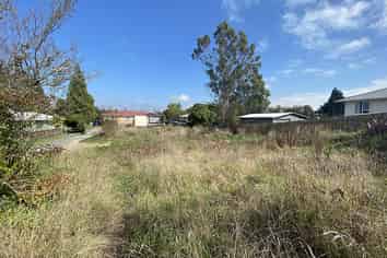 160 Papanui Street, Tokoroa