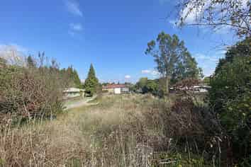 160 Papanui Street, Tokoroa