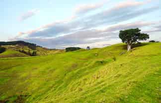 203 wayby station road, Wellsford