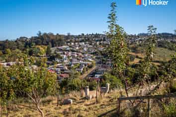 . Frasers Heights Subdivision, Halfway Bush