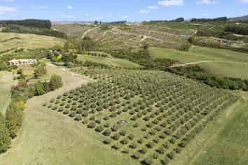 324 Wills Road, Upper Moutere