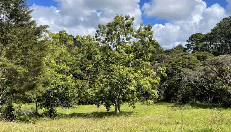 130 Foley Quarry Road, Albany