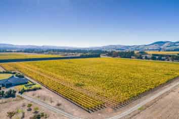 55 Darnley Road, Waipara