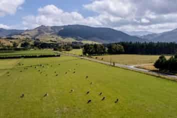 Lot 2 Haringa Road, Carterton