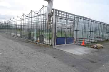 MODERN GLASSHOUSE OPERATION