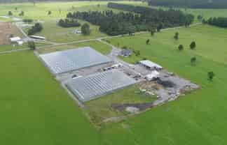 MODERN GLASSHOUSE OPERATION