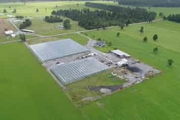 MODERN GLASSHOUSE OPERATION