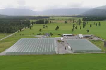 MODERN GLASSHOUSE OPERATION