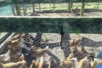 53 Inland Road, Tikorangi