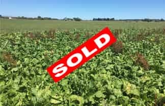 Manawatu / Whanganui - Address withheld