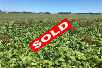 Manawatu / Whanganui - Address withheld