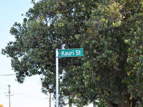 (6) Kauri St, Otaki