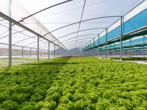 31 Hammerichs Road, Rapaura