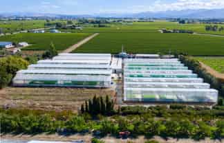 31 Hammerichs Road, Rapaura