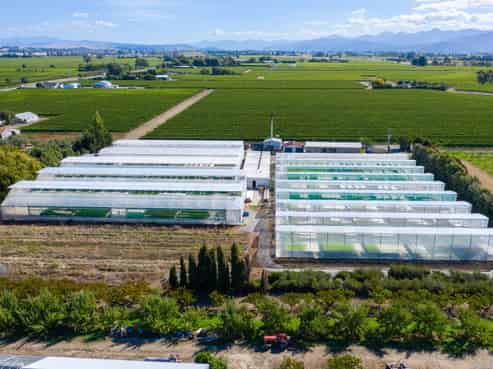 31 Hammerichs Road, Rapaura