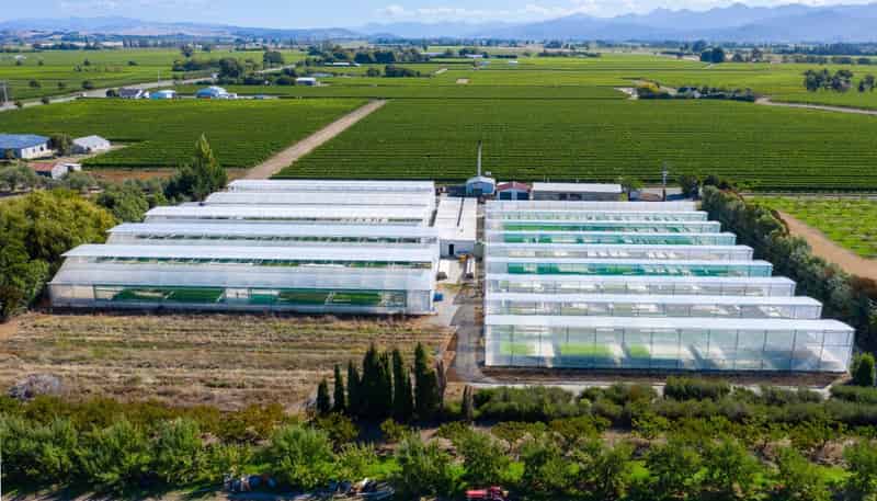 31 Hammerichs Road, Rapaura