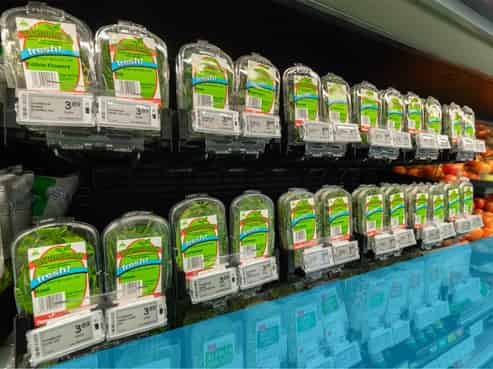 31 Hammerichs Road, Rapaura