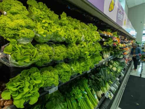 31 Hammerichs Road, Rapaura