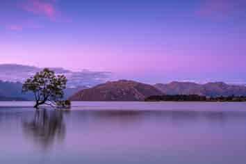 Well Loved, Locally Supported Retail Opportunity