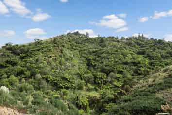 37 Waikaretu Wairamarama Road, Glen Murray