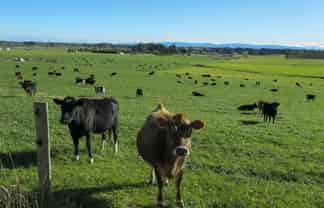 315 Deans Road, Winton