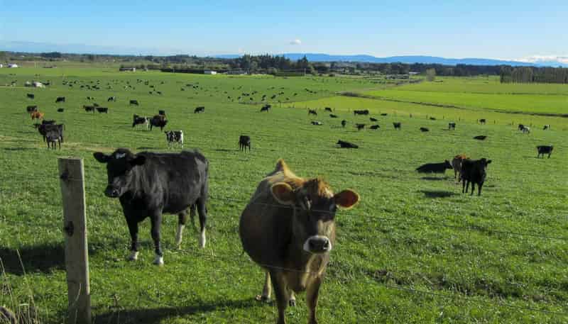 315 Deans Road, Winton