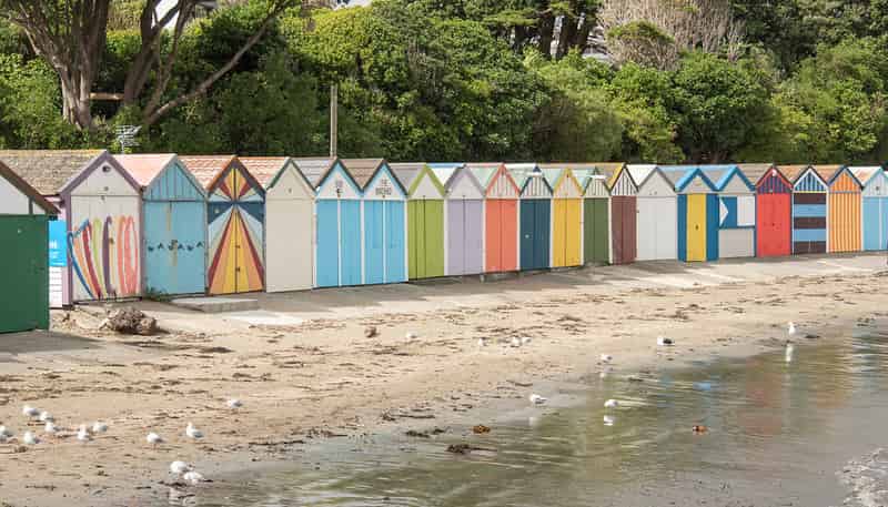 C23 & C24 Vella Street, Titahi Bay