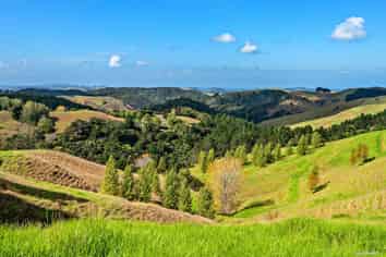 180 Cowan Bay Road, Warkworth