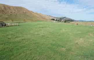 399-407 Kaihinau Road, Tokomaru