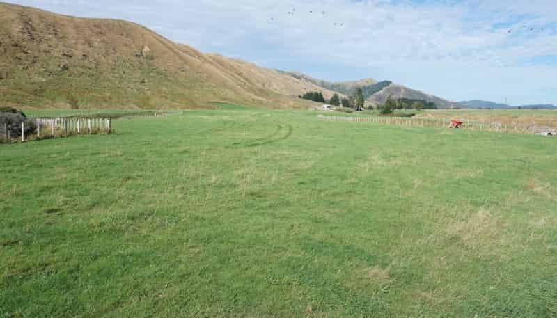 399-407 Kaihinau Road, Tokomaru