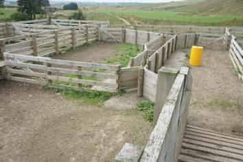 399-407 Kaihinau Road, Tokomaru