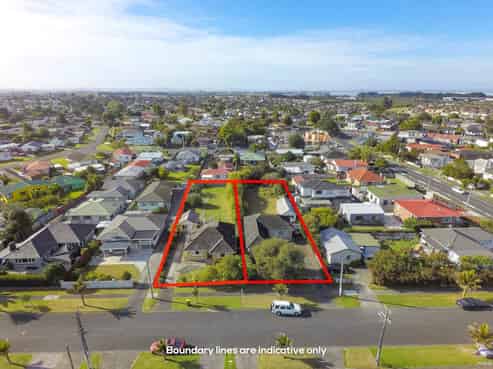 1 & 3 Cape Road, Mangere