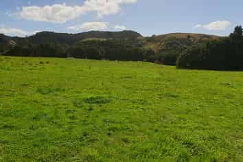 1/678 Gorge Road, Maungaturoto