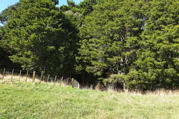 1/678 Gorge Road, Maungaturoto