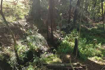 1/678 Gorge Road, Maungaturoto