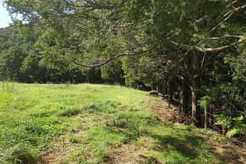 3/678 Gorge Road, Maungaturoto