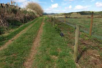 3/678 Gorge Road, Maungaturoto