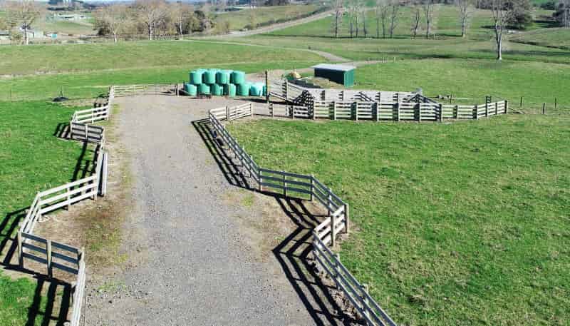 Lot 1 Maxwell Road, Maramarua